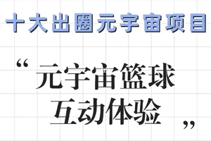 标题：哪里能找到元宇宙中的专业篮球教练？全面解析与实用指南